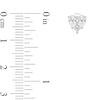 Thumbnail Image 2 of 1 CT. T.W. Pear-Shaped and Princess-Cut Lab-Grown Multi-Diamond Heart Stud Earrings in 14K White Gold