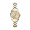 Thumbnail Image 1 of Ladies’ Fossil Scarlette Crystal Accent Two-Tone IP Watch with Gold-Tone Sunray Dial (Model: ES4949)