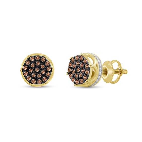 1/6 CT. T.w. Brown Diamond Stud Earrings in 10K Gold