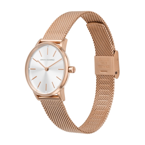 Ladies' Armani Exchange Rose-Tone IP Mesh Watch with Silver-Tone Dial and Charm Bracelet Box Set (Model: Ax7121)