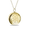 Thumbnail Image 3 of Moonstone and White Lab-Created Sapphire Photo Locket in Sterling Silver with 18K Gold Plate (1 Photo)