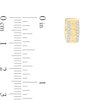 Thumbnail Image 2 of 1/4 CT. T.W. Diamond Chain Link Huggie Hoop Earrings in 10K Gold