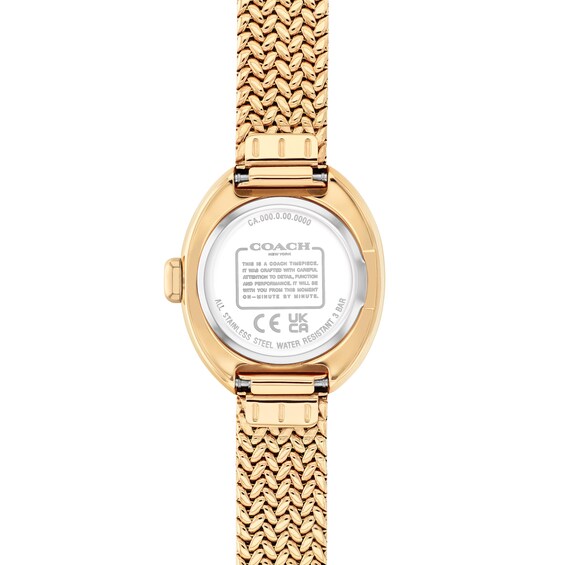 Ladies' Coach Sammy Gold-Tone IP Watch with Gold-Tone Oval Dial and Mesh Band (Model: 14504567)