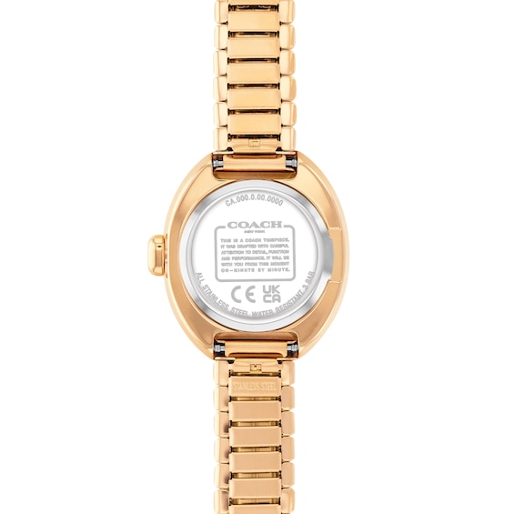 Ladies' Coach Sammy Gold-Tone IP Watch with Oval Dial and Expander Bracelet (Model
