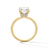Thumbnail Image 3 of 3-1/4 CT. T.W. Oval Certified Lab-Grown Diamond Hidden Double Frame Engagement Ring in 14K Gold (F/VS2)
