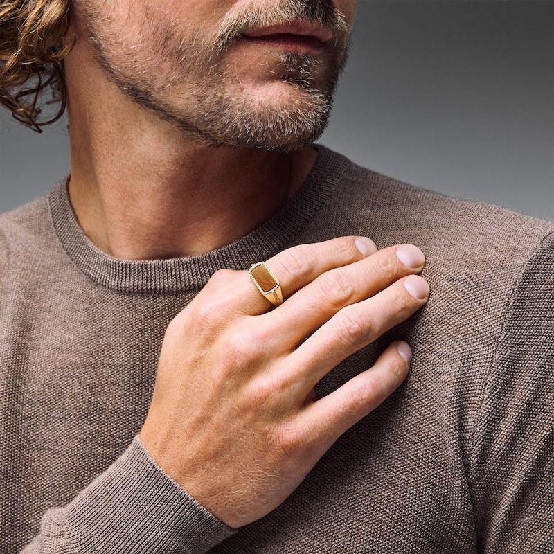 Main Image 2 of Tiger's Eye and 1/10 CT. T.W. Lab-Grown Diamond Signet Ring in Sterling Silver with 14K Gold Plate (F/VS2)