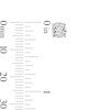 Thumbnail Image 2 of 3/4 CT. T.W. Diamond Solitaire Hidden Frame Stud Earrings in 10K White Gold (I/I2)