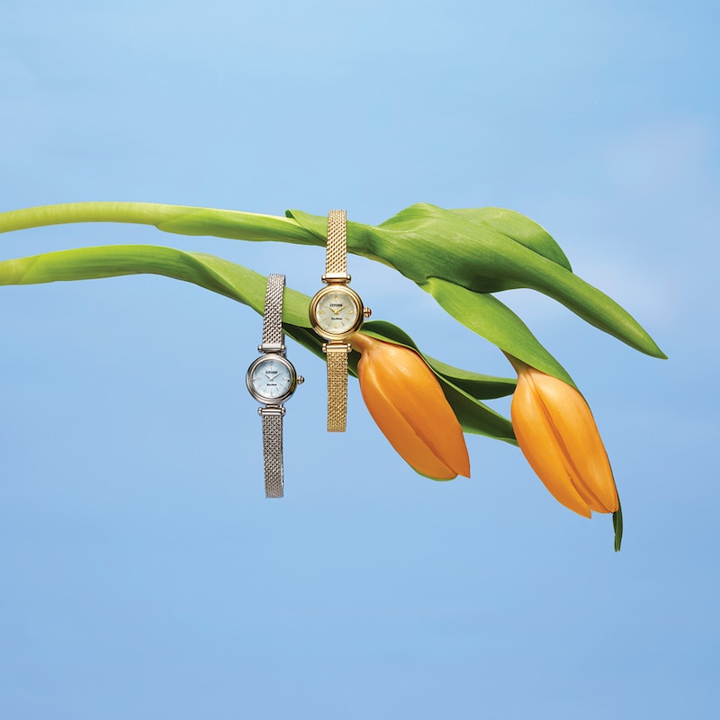 Main Image 4 of Ladies' Citizen Fio Eco-Drive® Stainless Steel Watch with Light Blue Dial (Model: EG7081-51L)