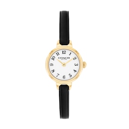 Ladies' Coach Iris Gold-Tone IP Stainless Steel Watch with Chalk Dial and Black Leather Strap (Model: 14504654-T)