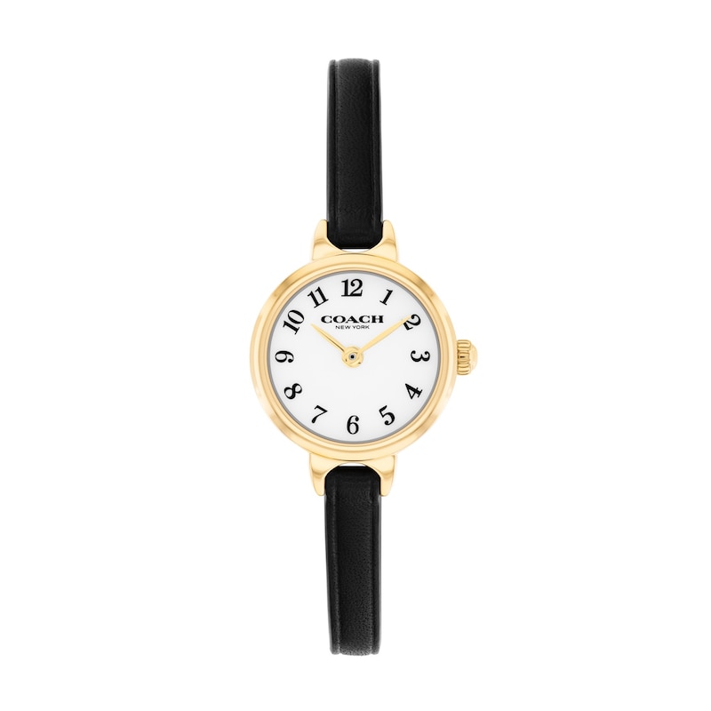 Main Image 1 of Ladies' Coach Iris Gold-Tone IP Stainless Steel Watch with Chalk Dial and Black Leather Strap (Model: 14504654-T)