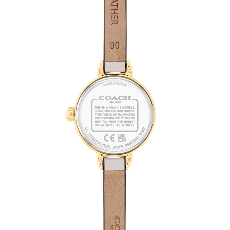 Main Image 3 of Ladies Coach Iris Gold-Tone IP Stainless Steel Watch with Chalk Dial (Model: 14504655-T)
