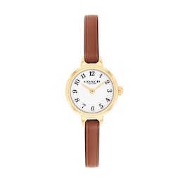 Ladies' Coach Iris Gold-Tone IP Stainless Steel Watch with Brown Leather Strap (Model: 14504656-T)