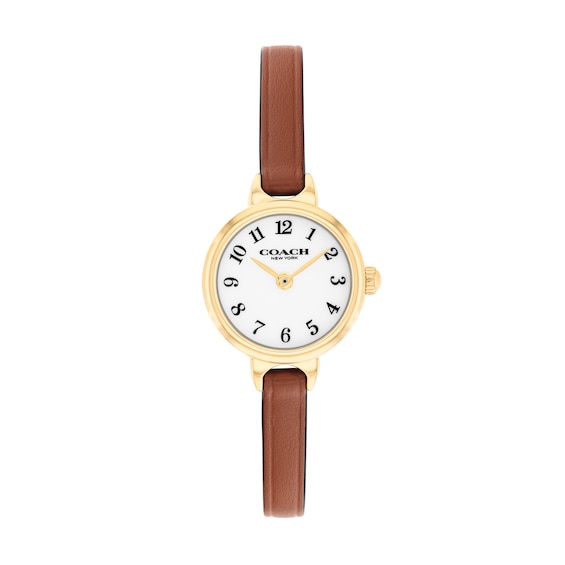 Ladies' Coach Iris Gold-Tone IP Stainless Steel Watch with Brown Leather Strap (Model: 14504656-T)