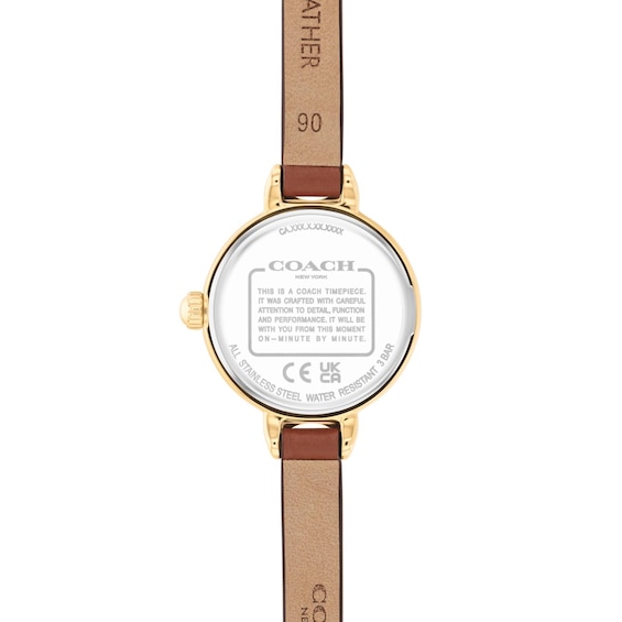 Ladies' Coach Iris Gold-Tone IP Stainless Steel Watch with Brown Leather Strap (Model: 14504656-T)