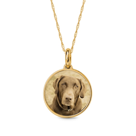Photo and Engraved Message Round Necklace in Sterling Silver with 14K Gold Plate - 18"