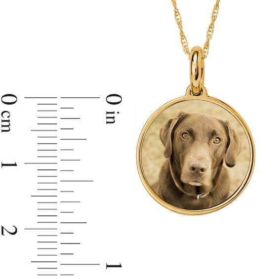 Photo and Engraved Message Round Necklace in Sterling Silver with 14K Gold Plate - 18"