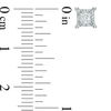 Thumbnail Image 2 of Previously Owned - 1/4 CT. T.W. Princess-Cut Diamond Solitaire Stud Earrings in Sterling Silver