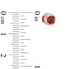 Thumbnail Image 3 of Previously Owned - Times of Love™ 4.0mm Lab-Created Garnet Moment in 10K Rose Gold