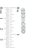 Thumbnail Image 2 of Previously Owned - 1 CT. T.W. Diamond Bubbles Hoop Earrings in 10K White Gold