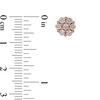 Thumbnail Image 3 of Previously Owned - 1/3 CT. T.W. Composite Diamond Flower Stud Earrings in 10K Rose Gold