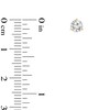 Thumbnail Image 2 of Previously Owned - 1/3 CT. T.W. Diamond Solitaire Stud Earrings in 14K Gold (I/SI2)