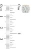 Thumbnail Image 3 of Previously Owned - 1/2 CT. T.W. Diamond Square Frame Stud Earrings in 10K Gold