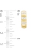 Thumbnail Image 3 of Previously Owned - 1/3 CT. T.W. Diamond Triple Row Huggie Hoop Earrings in 10K Gold